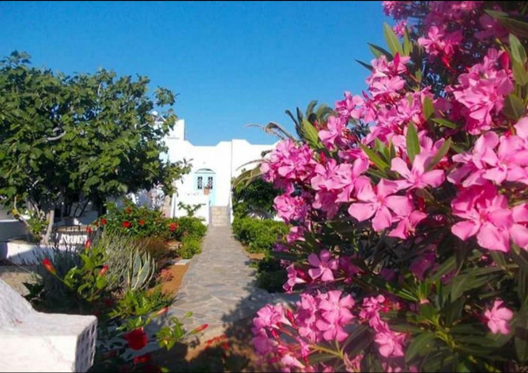 Nyfes Traditional Boutique Frosyni Skyros Bagian luar foto